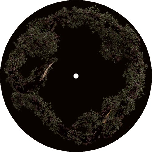 Gloom LP