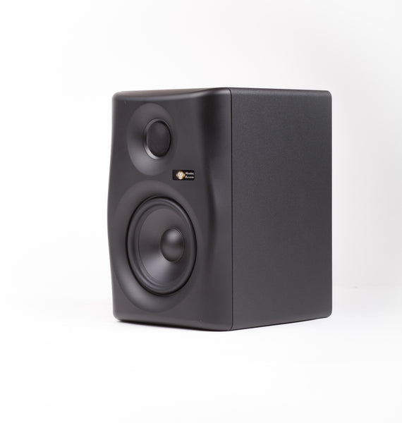 Gibbon 5 active studio monitor